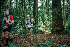 BIB: 
                            <button type="button" onclick="openModal(26133026)" class="btn btn-primary btn-sm float-right btn-popup" data-toggle="modal" data-target=".modal-high-quality">
                        <i class="fas fa-shopping-cart"></i> Add to Cart
                    </button>
                                            <button type="button" onclick="isThisMe(26133026, true)" class="btn btn-success btn-sm float-right btn-popup btn-isme hidden" data-toggle="tooltip" data-placement="bottom" title="นี่คือรูปของคุณใช่ไหม คลิกที่นี่เพื่อเอาเข้าอัลบั้ม">
                        <i class="fas fa-plus"></i> Add to album
                    </button>
                    <button type="button" onclick="isThisMe(26133026, false)" class="btn btn-warning btn-sm float-right btn-popup btn-isnotme hidden">
                        <i class="fas fa-ban"></i> Remove from album
                    </button>